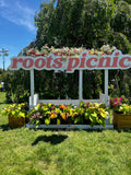 Social Media Management and Strategy for Roots Picnic via Live Nation Urban